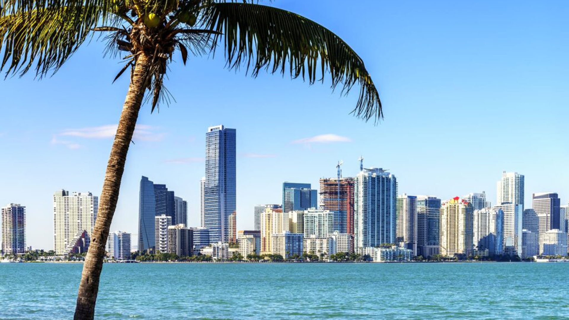 Miami skyline waterfront view near Alma Bay Harbor in Bay Harbor Islands, highlighting the bayfront lifestyle of luxury and ultra luxury preconstruction condos with palm trees and city towers.