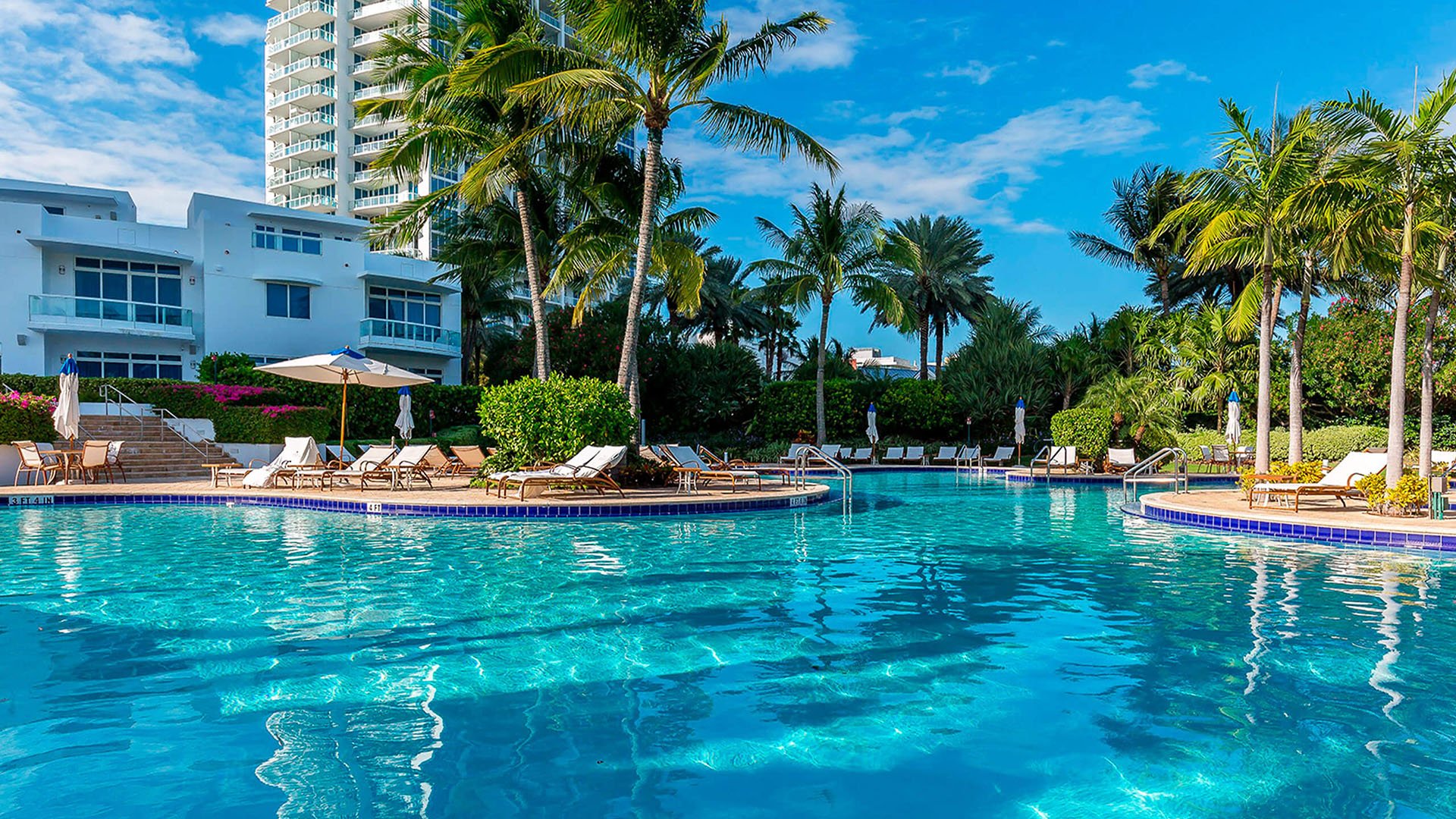 Ground-level resort pool view at Continuum on South Beach, Miami Beach, Florida, showing luxury and ultra luxury condos with palm islands, lounge chairs, and sparkling blue water under a clear sky.