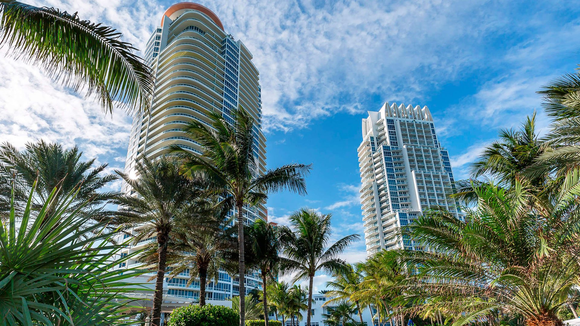 Palm-framed exterior view of the curved tower at Continuum on South Beach, Miami Beach, Florida, highlighting luxury and ultra luxury condos with lush tropical planting and a bright architectural skyline.