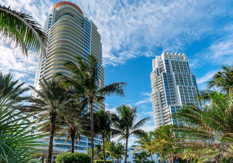 Palm-framed exterior view of the curved tower at Continuum on South Beach, Miami Beach, Florida, highlighting luxury and ultra luxury condos with lush tropical planting and a bright architectural skyline.