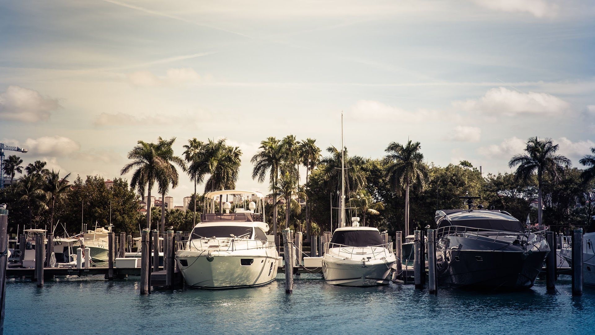 Fisher Island luxury and ultra luxury condos marina amenity with yachts docked at private slips beneath tall palms.