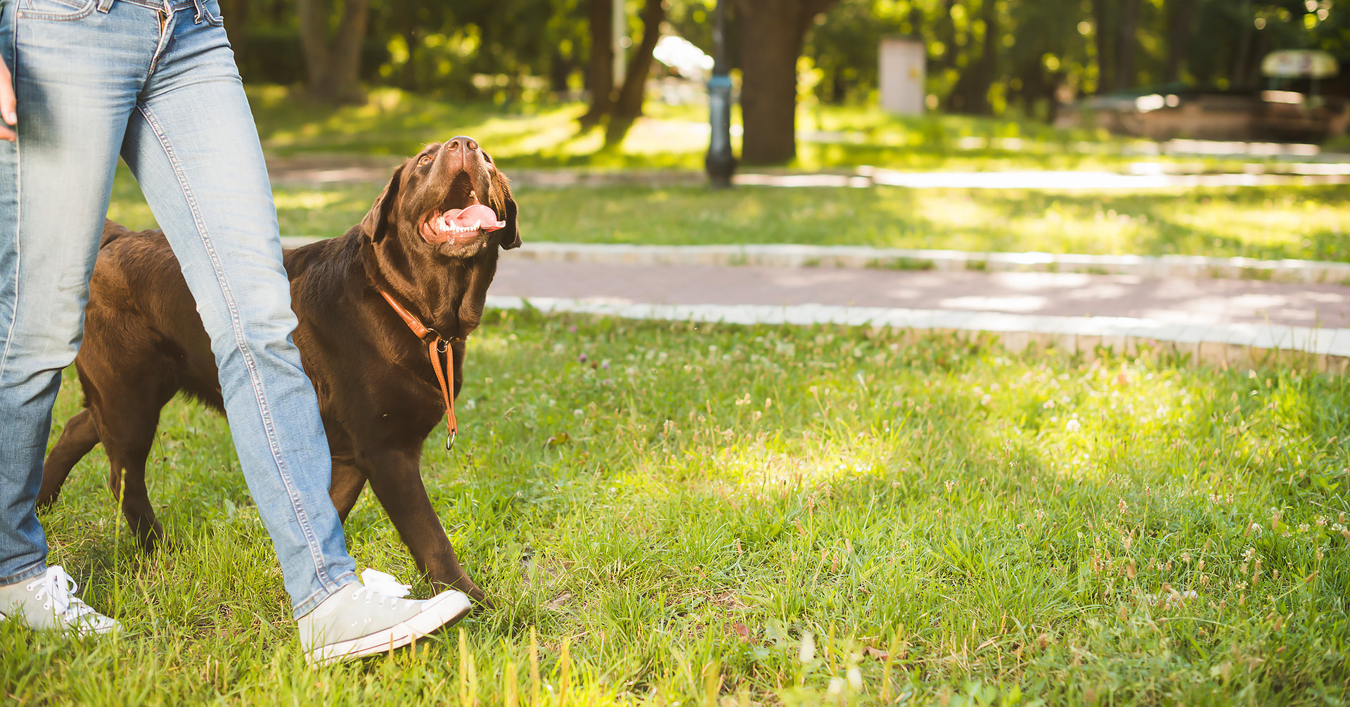 With a dog park and a pet wash station for every furry friend and extended family to have a space to run and have fun freely.