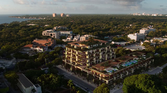 Assessing Construction Loan Stability and Delivery Timelines: Ziggurat Coconut Grove vs. Opus Coconut Grove