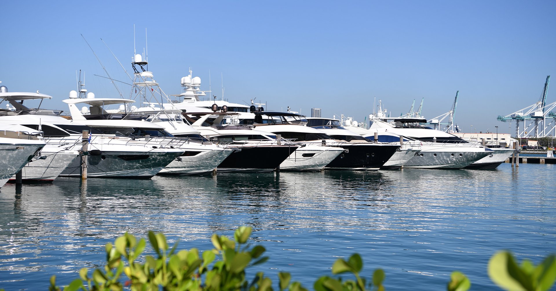 An in-house marina with seven private yacht slips, offering residents exclusive convenience and a luxurious waterfront lifestyle.