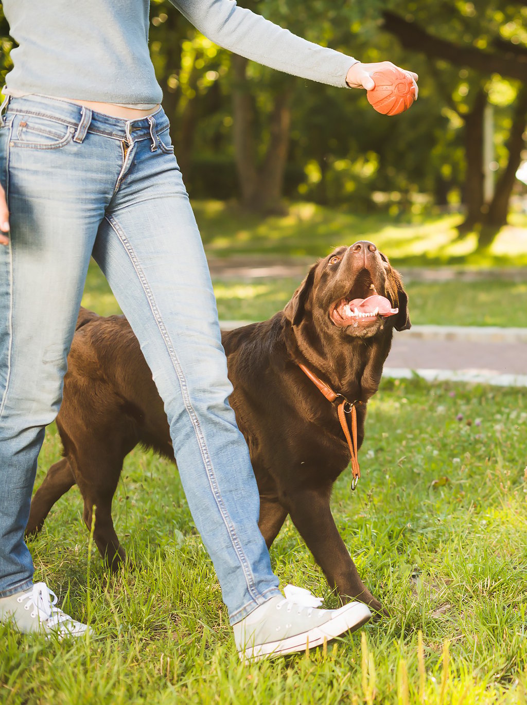 With a dog park and a pet wash station for every furry friend and extended family to have a space to run and have fun freely.
