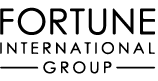 logo developer