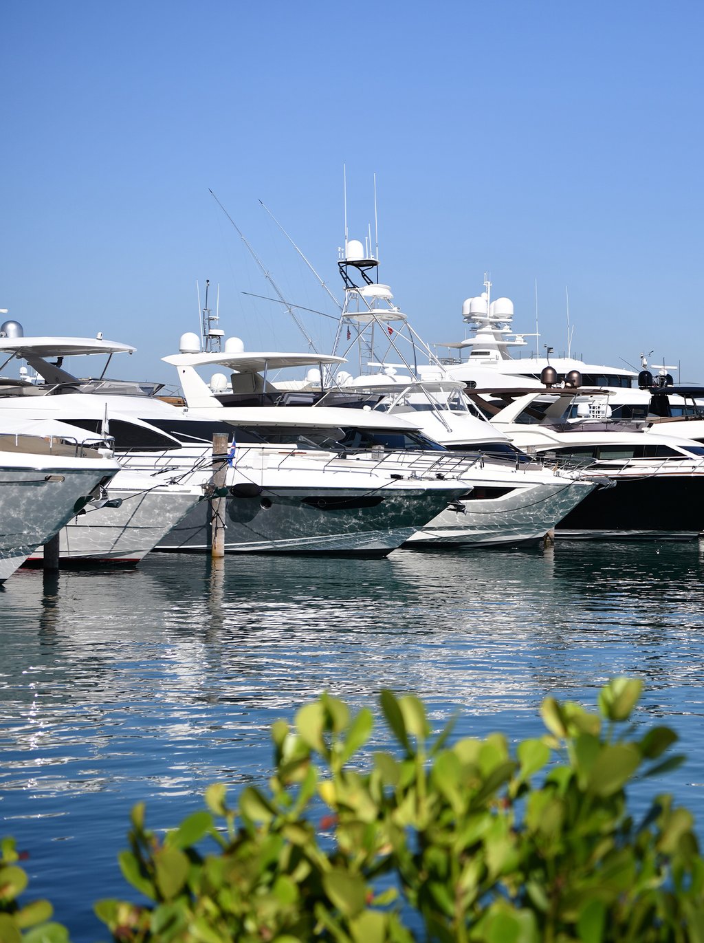 An in-house marina with seven private yacht slips, offering residents exclusive convenience and a luxurious waterfront lifestyle.